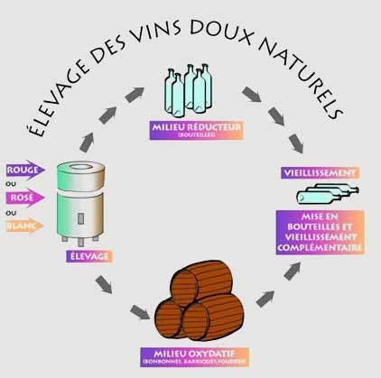 vinification of vins doux naturels